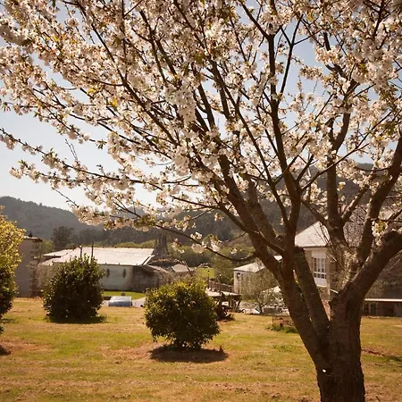 Гостевой дом As Vinas Вивейро