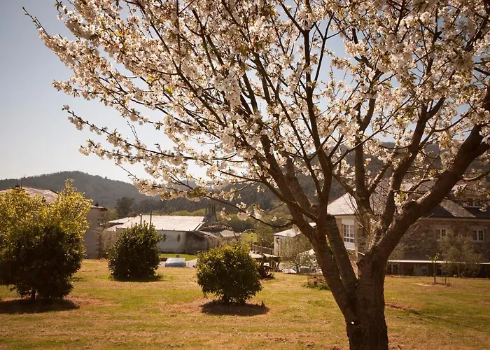 Гостевой дом As Vinas Вивейро